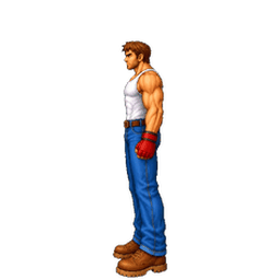 Street brawler idle animation